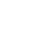 Citroen servis